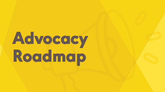 EI Provider Support: Advocacy Roadmap