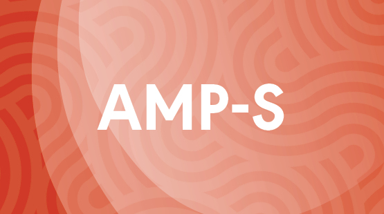 AMP-S mentoring program