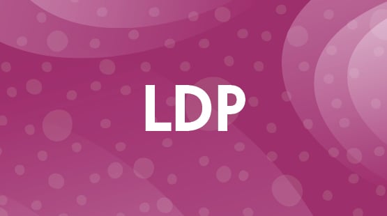 LDP mentoring program