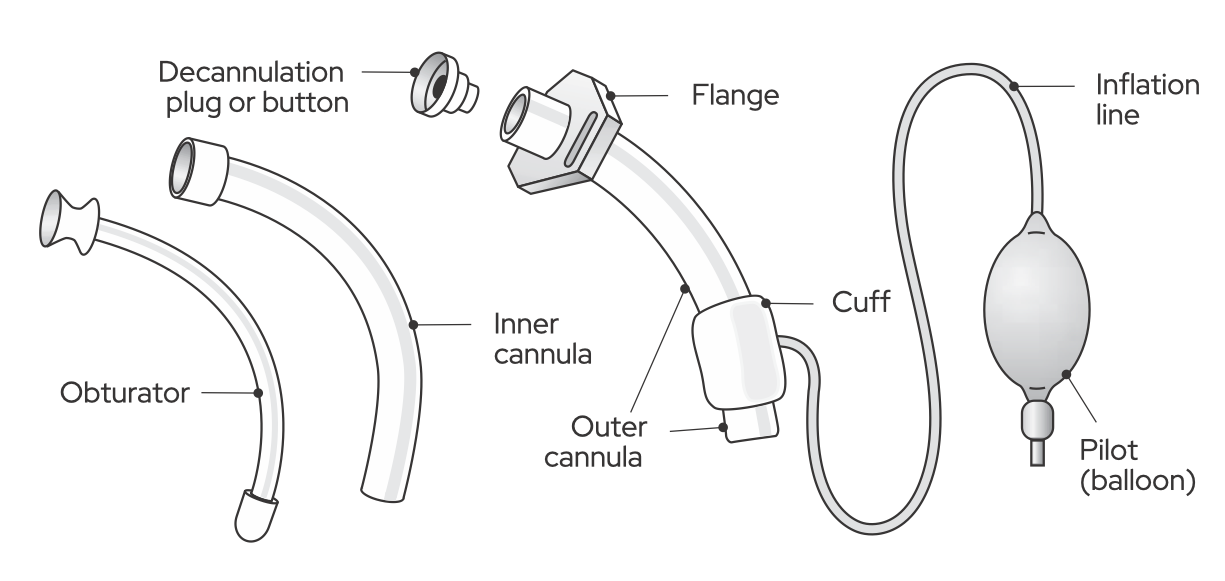 Trach tube in situ